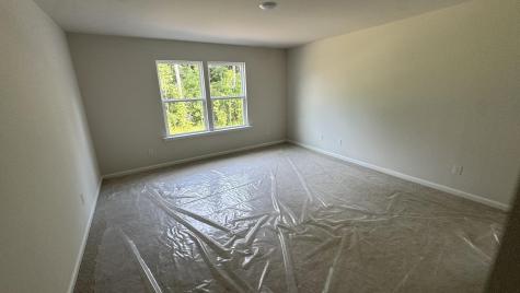 5371 Crinum Lilly Summerville SC 29485