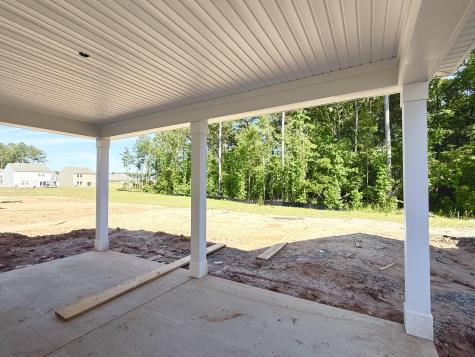 5371 Crinum Lilly Summerville SC 29485