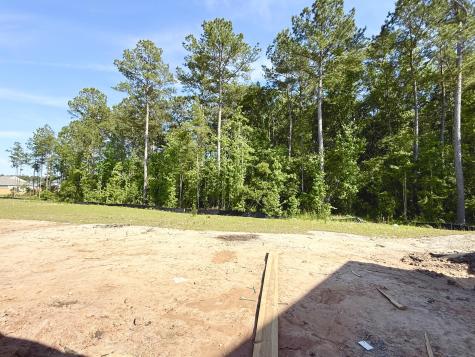 5371 Crinum Lilly Summerville SC 29485