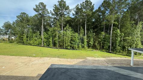 5371 Crinum Lilly Summerville SC 29485