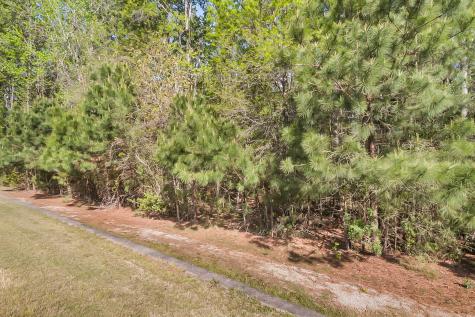 3062 Cross Vine Lane Summerville SC 29483
