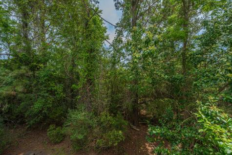 401 Kinloss Country Lane Mount Pleasant SC 29466