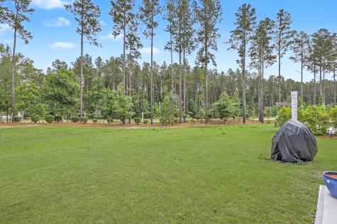 1054 Magnolia Warbler Way Ravenel SC 29470