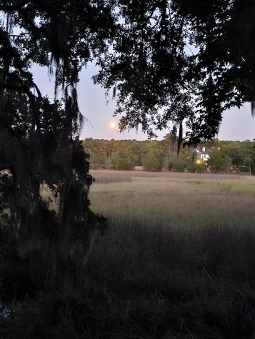 2340 Ashley River Road Charleston SC 29414