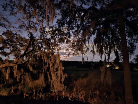 2340 Ashley River Road Charleston SC 29414