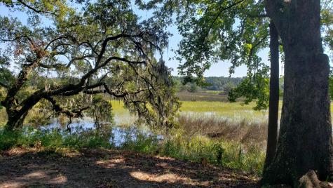 2340 Ashley River Road Charleston SC 29414