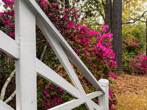 108 Rutherford Street Summerville SC 29483