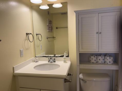 287 Driftwood Lane Edisto Beach SC 29438