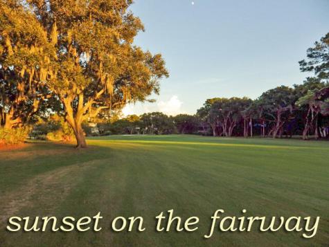 287 Driftwood Lane Edisto Beach SC 29438