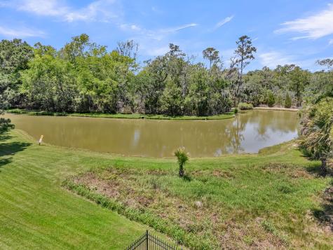 1105 Barfield Street Daniel Island SC 29492