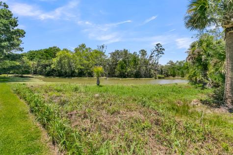 1105 Barfield Street Daniel Island SC 29492