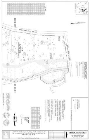 784 Faulkner Drive Mount Pleasant SC 29466