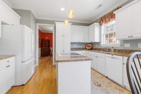 4477 Downing Place Way Mount Pleasant SC 29466