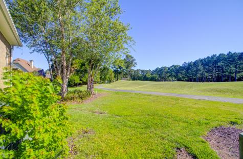 4477 Downing Place Way Mount Pleasant SC 29466