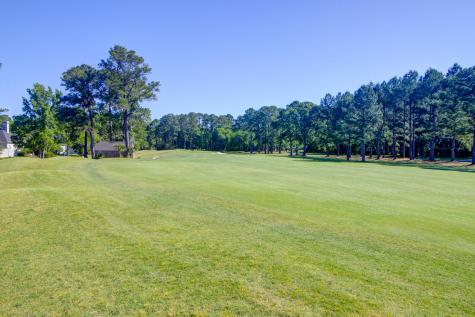 4477 Downing Place Way Mount Pleasant SC 29466