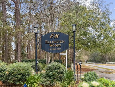 1441 Wellbrooke Lane Mount Pleasant SC 29466