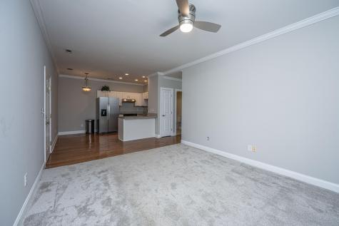 4005 Radcliffe Place Drive Charleston SC 29414