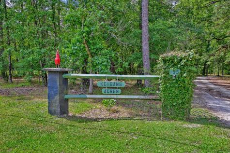 157 Gallashaw Road Summerville SC 29483