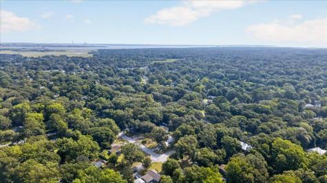 1060 Pauline Avenue James Island SC 29412