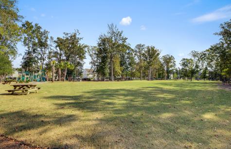 3046 Conservancy Lane Charleston SC 29414