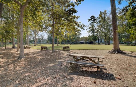 3046 Conservancy Lane Charleston SC 29414