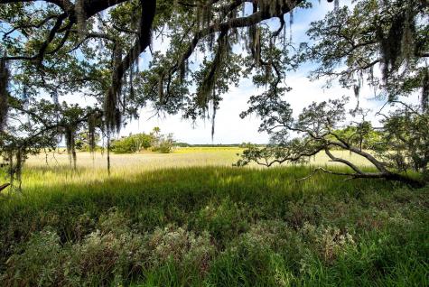 2138 Landfall Way Seabrook Island SC 29455