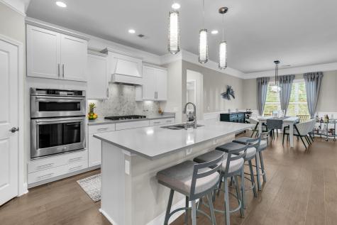 153 Hedera Court Summerville SC 29486