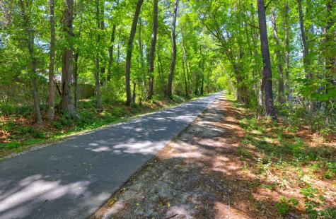 415 Parkdale Drive Charleston SC 29414