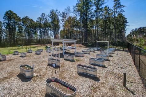 311 Autumn Azalea Way Summerville SC 29486