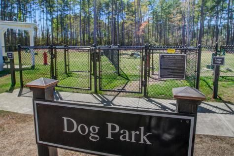 311 Autumn Azalea Way Summerville SC 29486