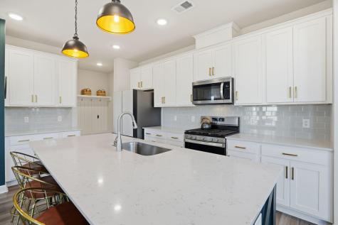 4420 Palm Shadow Drive Summerville SC 29485