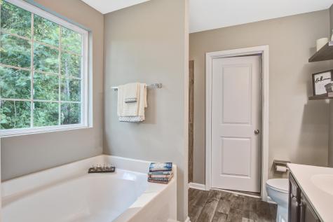 5020 Wapiti Way Hollywood SC 29449