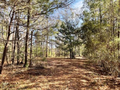 2043 Bohicket Road Johns Island SC 29455