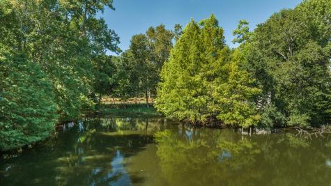 933 Lakeview Drive Mount Pleasant SC 29464