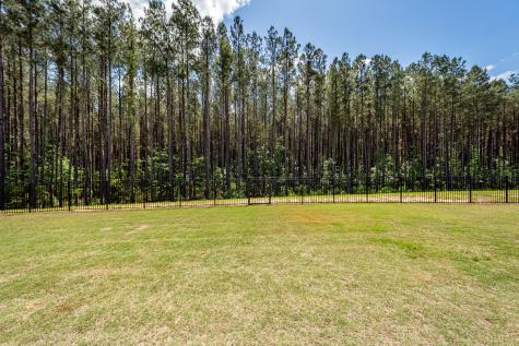 1343 Homecoming Ravenel SC 29470