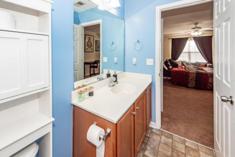 213 Hemingway Circle Summerville SC 29483
