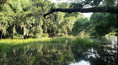 1759 Crystal Lake Drive Charleston SC 29412