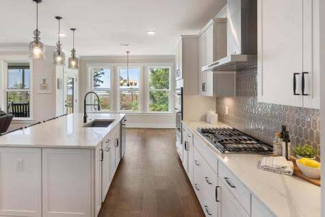 523 Spring Hollow Drive Charleston SC 29492