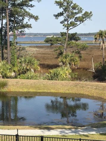 523 Spring Hollow Drive Charleston SC 29492