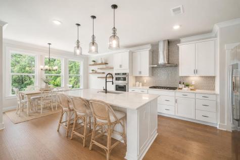 523 Spring Hollow Drive Charleston SC 29492