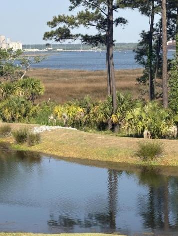 523 Spring Hollow Drive Charleston SC 29492