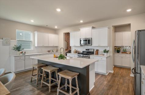 233 Narrowleaf Avenue Summerville SC 29485