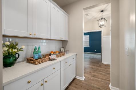 233 Narrowleaf Avenue Summerville SC 29485