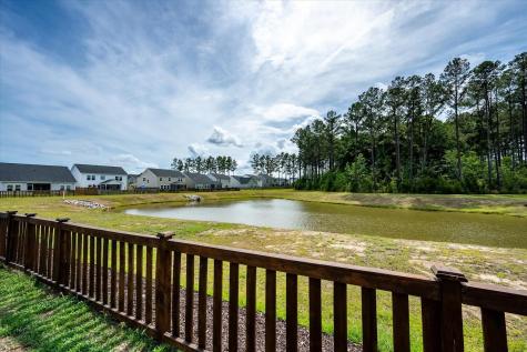 233 Narrowleaf Avenue Summerville SC 29485