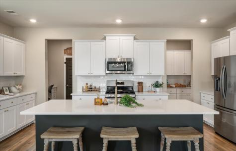 233 Narrowleaf Avenue Summerville SC 29485