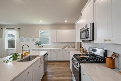 233 Narrowleaf Avenue Summerville SC 29485