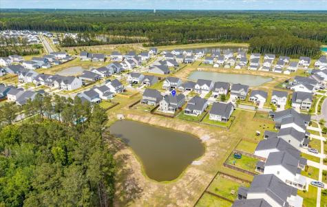 233 Narrowleaf Avenue Summerville SC 29485