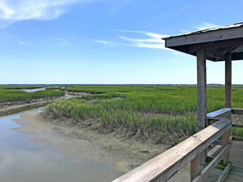 1560 Red Tide Road Mount Pleasant SC 29466