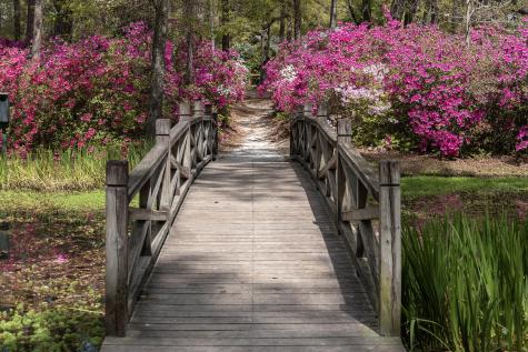 115 Old Postern Road Summerville SC 29483