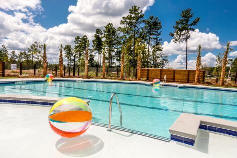 1014 Red Turnstone Run Summerville SC 29485